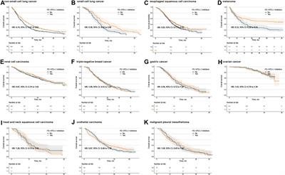 First-line immune checkpoint inhibitors in low programmed death-ligand 1-expressing population